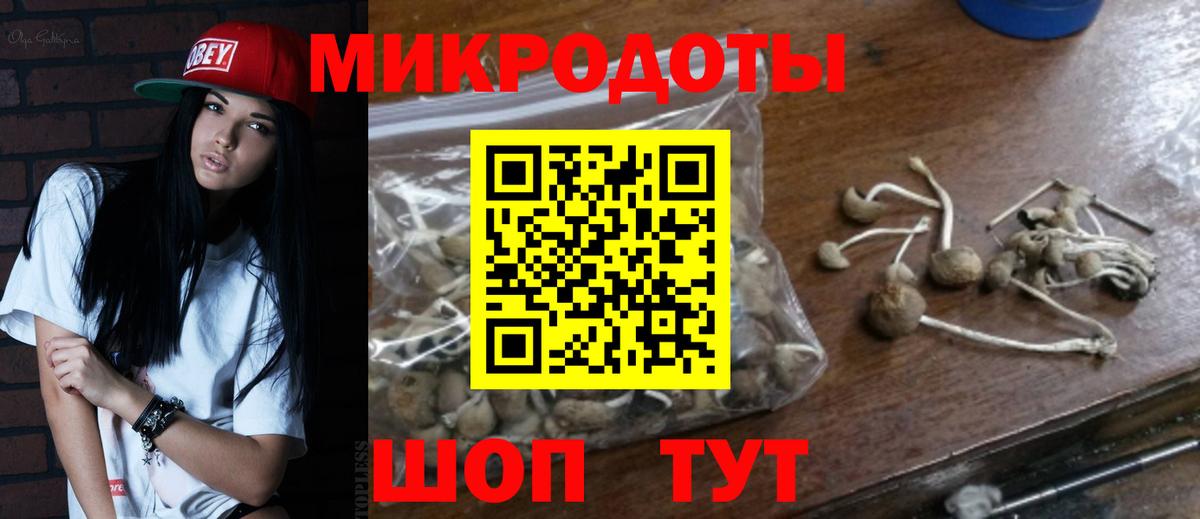 Псилоцибиновые грибы мицелий Сланцы
